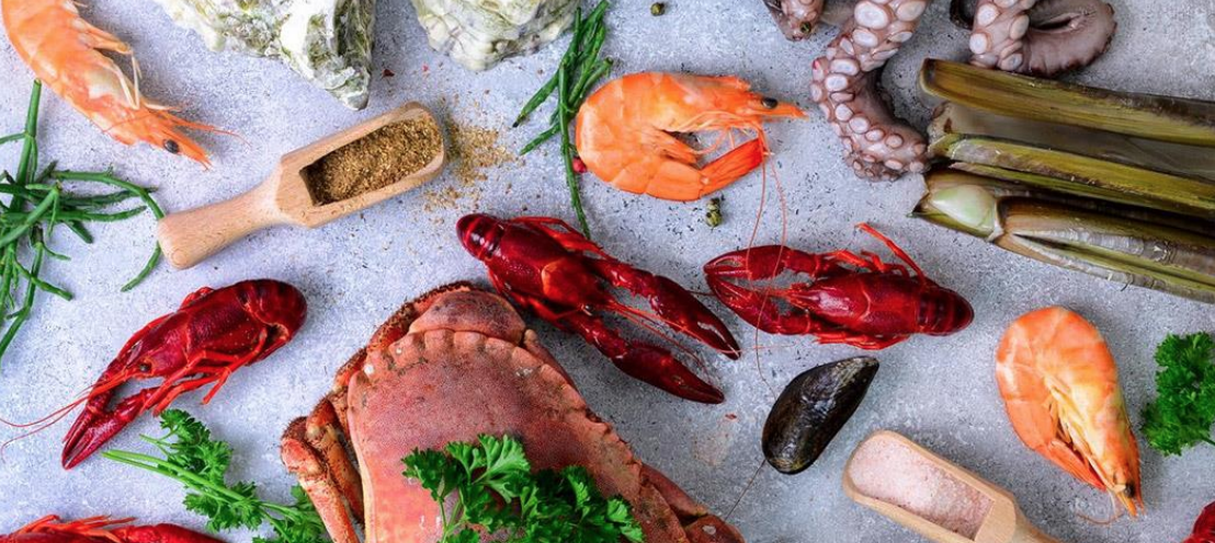 Conservacion de Alimentos