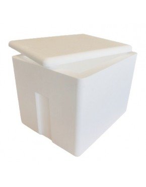 Caja térmica de poliestireno expandido 74 litros, para transporte de alimentos (1 paquete de 2 unidades)