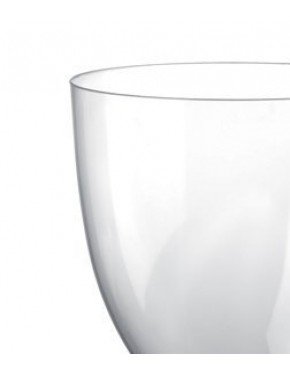 COPA PLASTICO DE VINO Y AGUA
