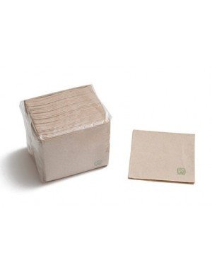 SERVILLETA BIO PAPEL RECICLADO  20X20 cm  (50 Ud/Paq)