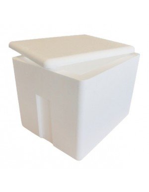 Caja térmica de poliestireno expandido 74 litros, para transporte de alimentos (1 paquete de 2 unidades)